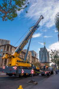 Brewer Crane in Downtown San Diego