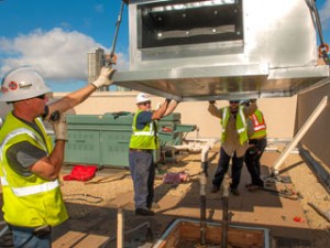 Brewer Crane workers on rooftop